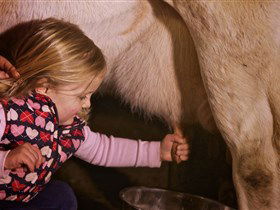 Hahndorf Farm Barn - Accommodation BNB 1