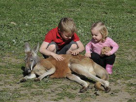 Hahndorf Farm Barn - Accommodation BNB 3