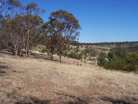 Onkaparinga River National Park - Accommodation BNB 0