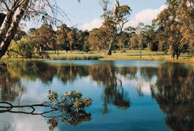Echunga Golf Club Incorporated - Accommodation BNB 1
