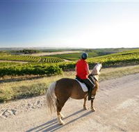 Kidman Trail - Accommodation BNB