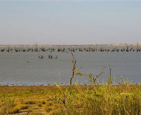 Lake Victoria - Accommodation BNB 0