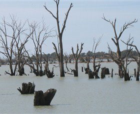 Lake Victoria - Accommodation BNB 4