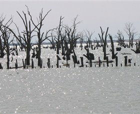 Lake Victoria - Accommodation BNB 5