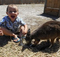 Animal Farm Goolwa - Accommodation BNB