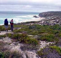 Murray Lagoon - Cape Gantheaume Conservation Park - Accommodation BNB