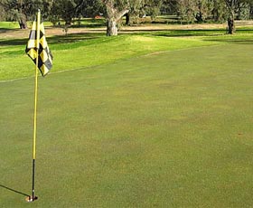 Wentworth Sporting Complex - Accommodation BNB 0