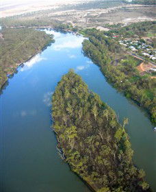 Sturt's Tree - Accommodation BNB 0
