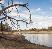 Toorale National Park - Accommodation BNB