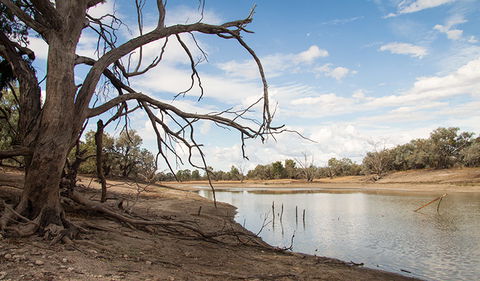 Toorale National Park - Accommodation BNB 0