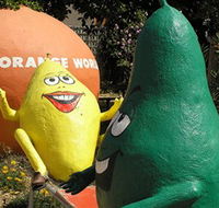 Orange World - Accommodation BNB