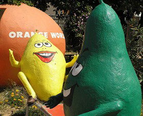 Orange World - Accommodation BNB 0