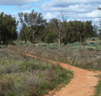 Grasslands Nature trail - Accommodation BNB