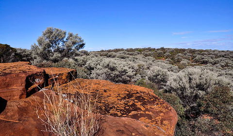 Mount Grenfell Historic Site - Accommodation BNB 0