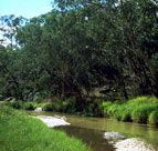 Salvator Rosa Section - Carnarvon National Park - Accommodation BNB