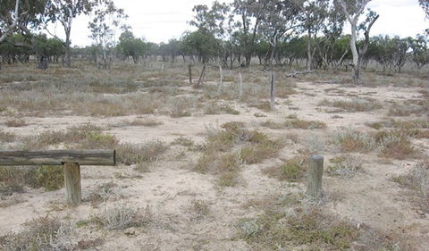 Culgoa Connellys Track - Accommodation BNB 0