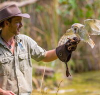Territory Wildlife Park - Accommodation BNB