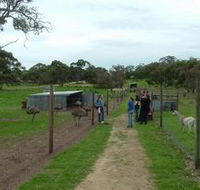 Avenue Emus - Accommodation BNB