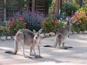 The Pioneer Settlement - Accommodation BNB 5