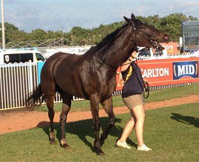 Darwin Turf Club - Accommodation BNB 2