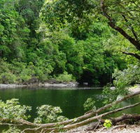 Broadwater Abergowrie State Forest - Accommodation BNB