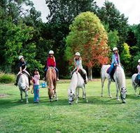 Limestone Coast Horseriding - Accommodation BNB