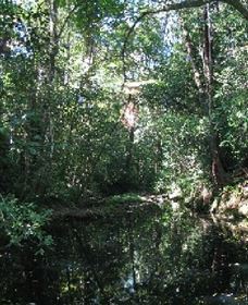 Wabunga Wayemba (Charmillan Creek Walking Track) - Accommodation BNB 0