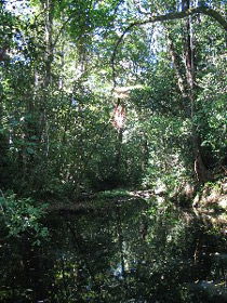 Misty Mountains Wilderness Walking Tracks - Accommodation BNB 0