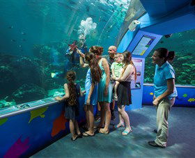 Reef HQ Aquarium - Accommodation BNB 2