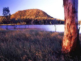 Nuga Nuga National Park And Lake Nuga Nuga - Accommodation BNB 2