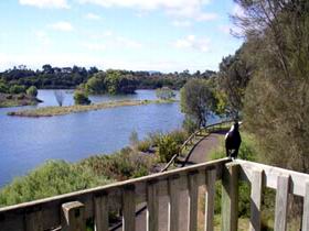 Lake McIntyre - Accommodation BNB 0
