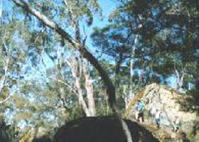 Poolaijelo ACT Accommodation BNB
