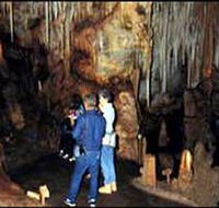 Tantanoola Caves Conservation Park - Accommodation BNB