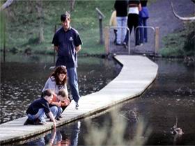 Valley Lake Conservation Park - Accommodation BNB 2