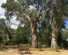Bob Christensen Reserve - Accommodation BNB 2