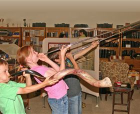 The Bible Museum - Accommodation BNB 2