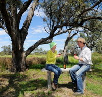 Restdown Wines and Walking Trail - Accommodation BNB