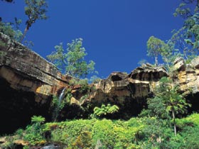 Blackdown Tableland National Park - Accommodation BNB 1