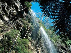 Blackdown Tableland National Park - Accommodation BNB 2