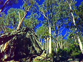 Blackdown Tableland National Park - Accommodation BNB 3