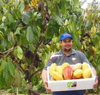 Sweet Farm Tours - Accommodation BNB
