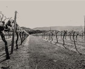 Halls Gap Estate - Accommodation BNB 0