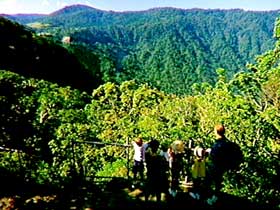 Eungella National Park - Accommodation BNB 3