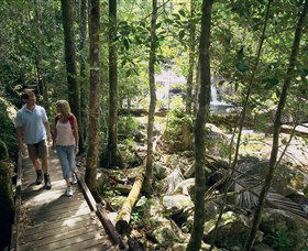 Eungella National Park - Accommodation BNB 2