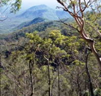 Crediton State Forest - Accommodation BNB