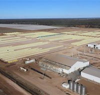 Southern Cotton Gin - Accommodation BNB
