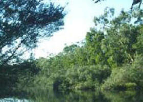 Crawford River Regional Park - Accommodation BNB 0