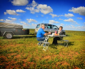 Long Paddock - Cobb Highway Touring Route - Accommodation BNB 0