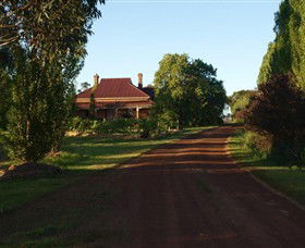 Pierrepoint Wines Cellar Door - Accommodation BNB 0