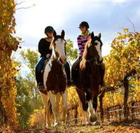 Billabong Ranch - Accommodation BNB